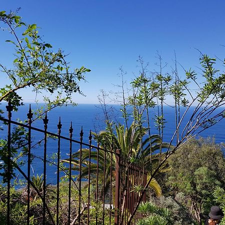 Villa Larnia De Tenerife Sauzal Exterior photo